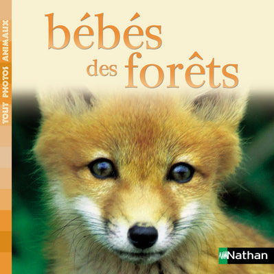 Bébés des forêts Books