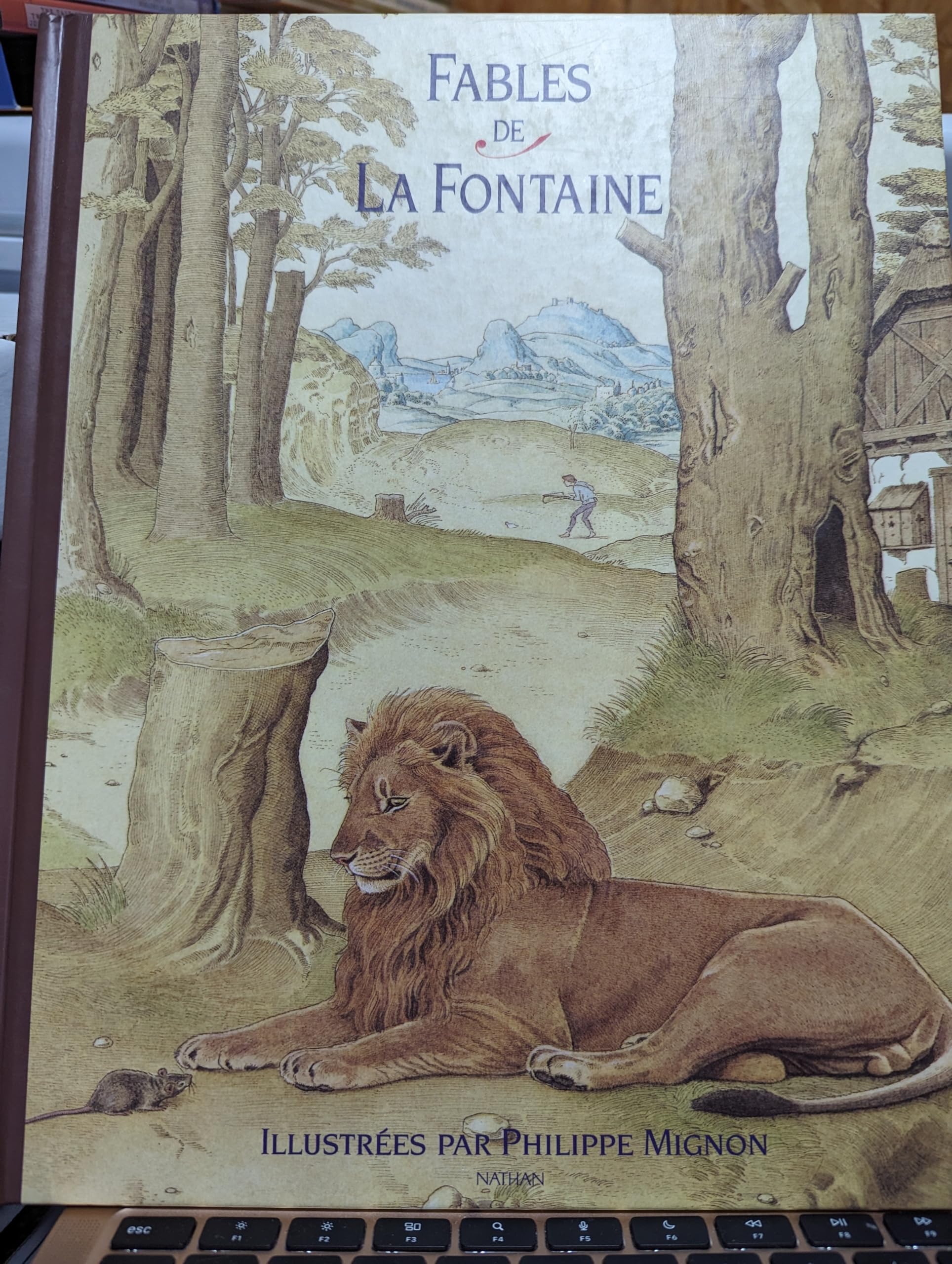 Fables de La Fontaine book