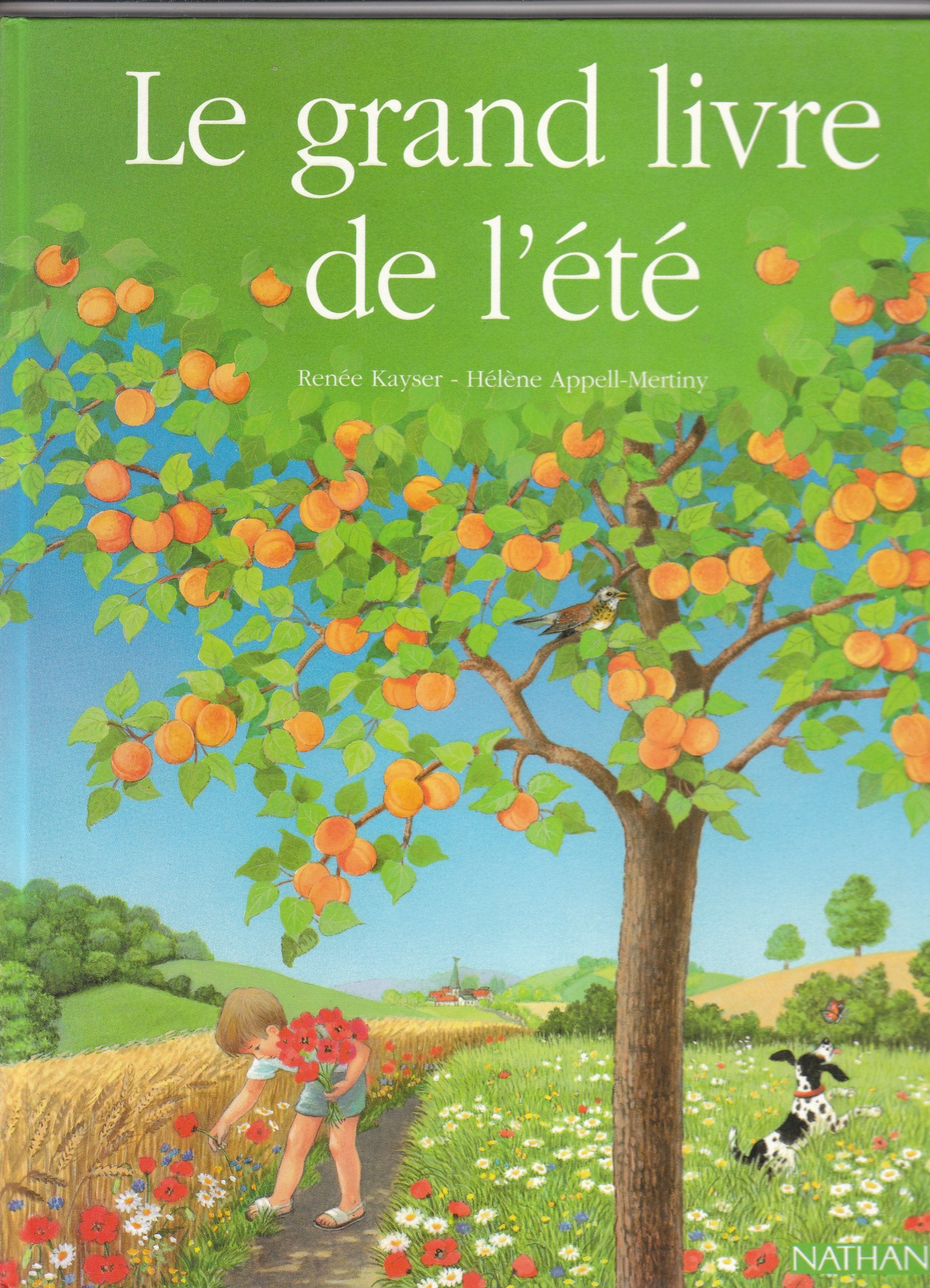 Le Grand livre de l'été book
