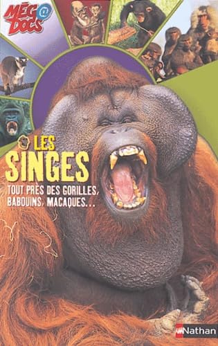 Les Singes : Tout près des gorilles, babouins, macaques book