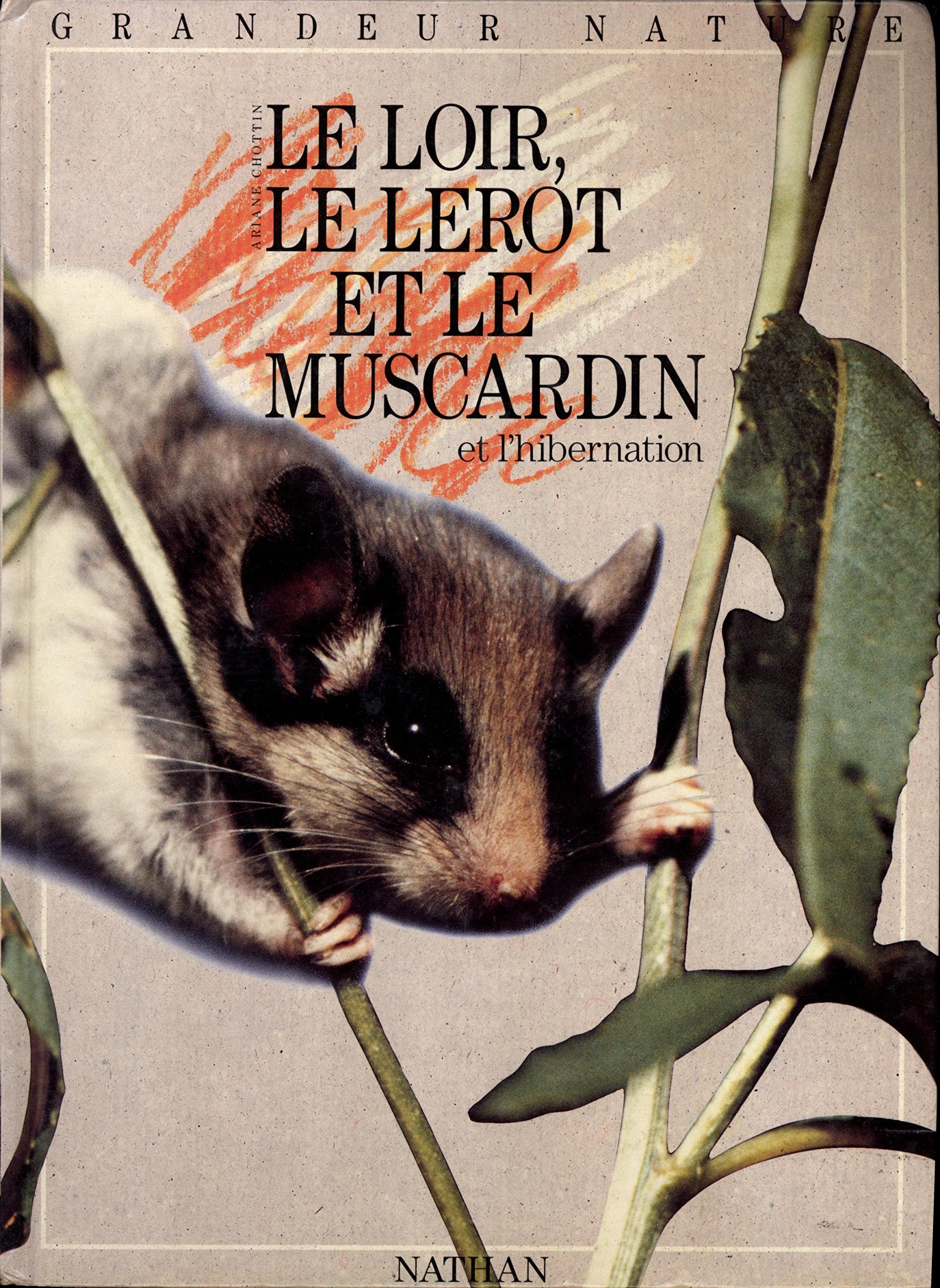 Le loir, lerot et le muscardin et l'hibernation book
