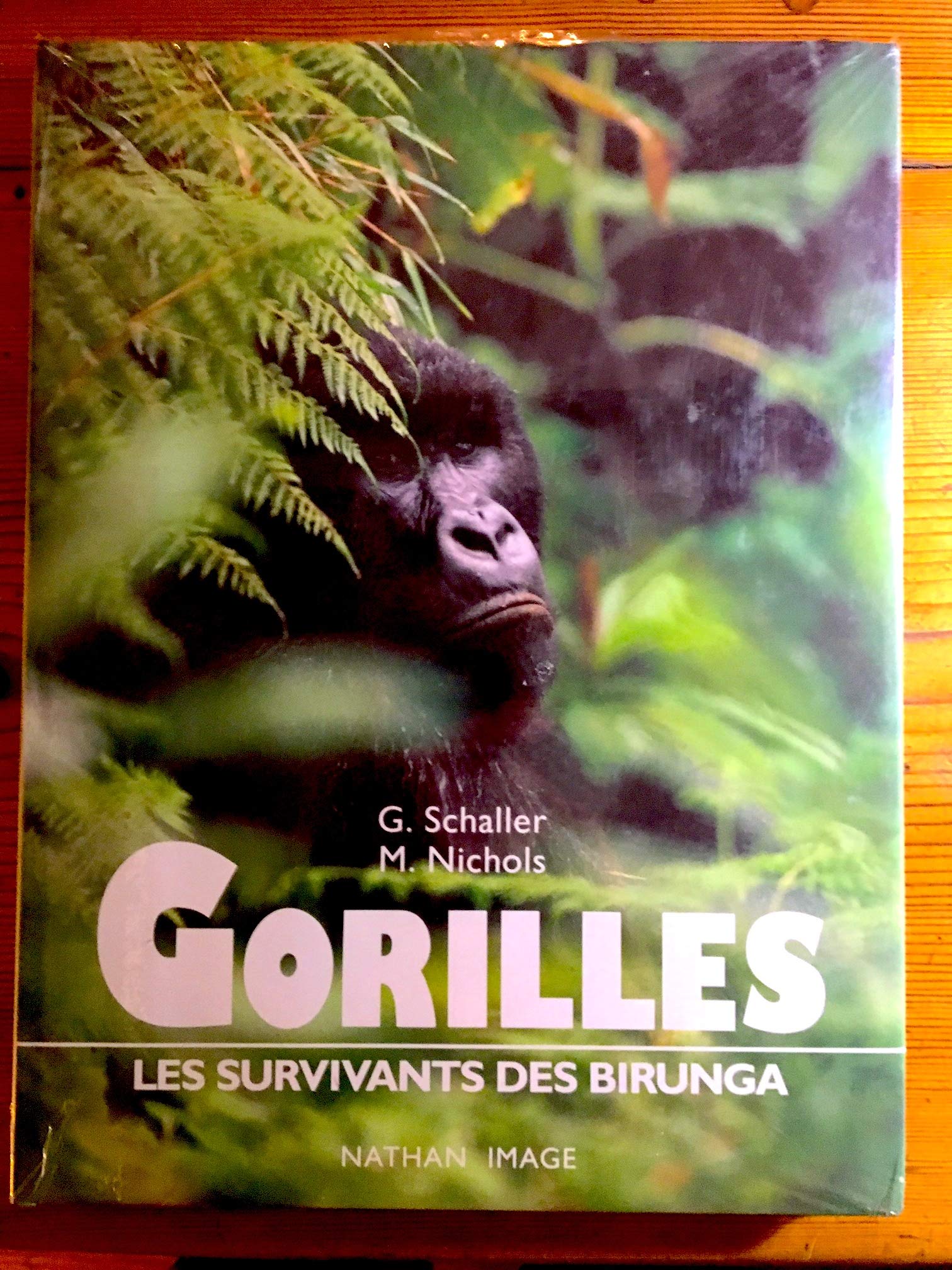 Gorilles : les survivants des birunga (Nathan) Books