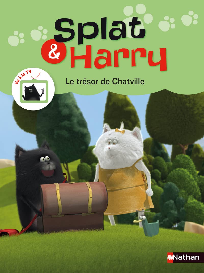 Splat & Harry - tome 2 Le trésor de Chatville Non-fiction