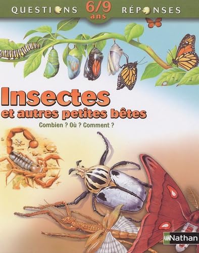 Insectes et autres petites bêtes Books