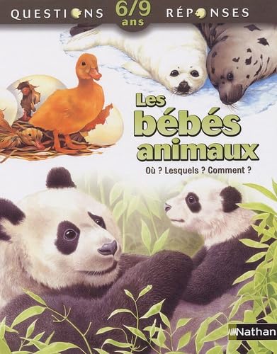 Product Image: Les bébés animaux