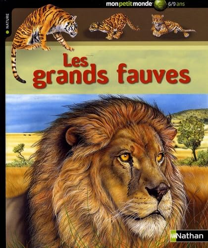 GRANDS FAUVES book