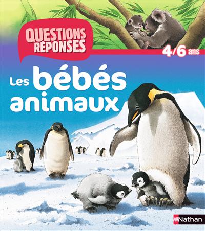 Product Image: Les bébés animaux
