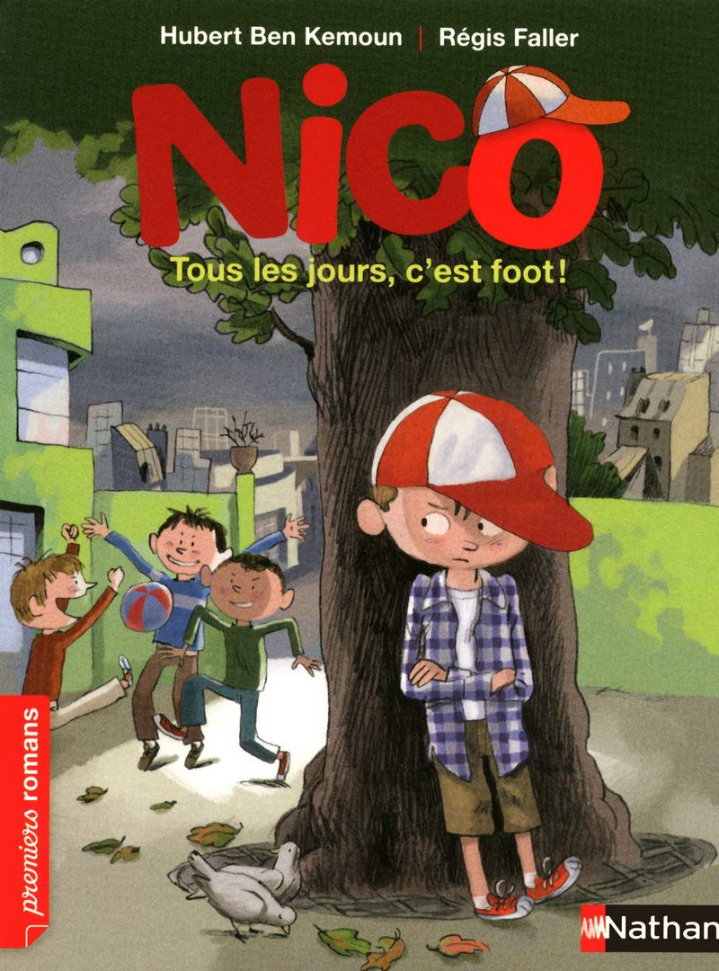 Tous les jours, c'est foot! Contemporary literature