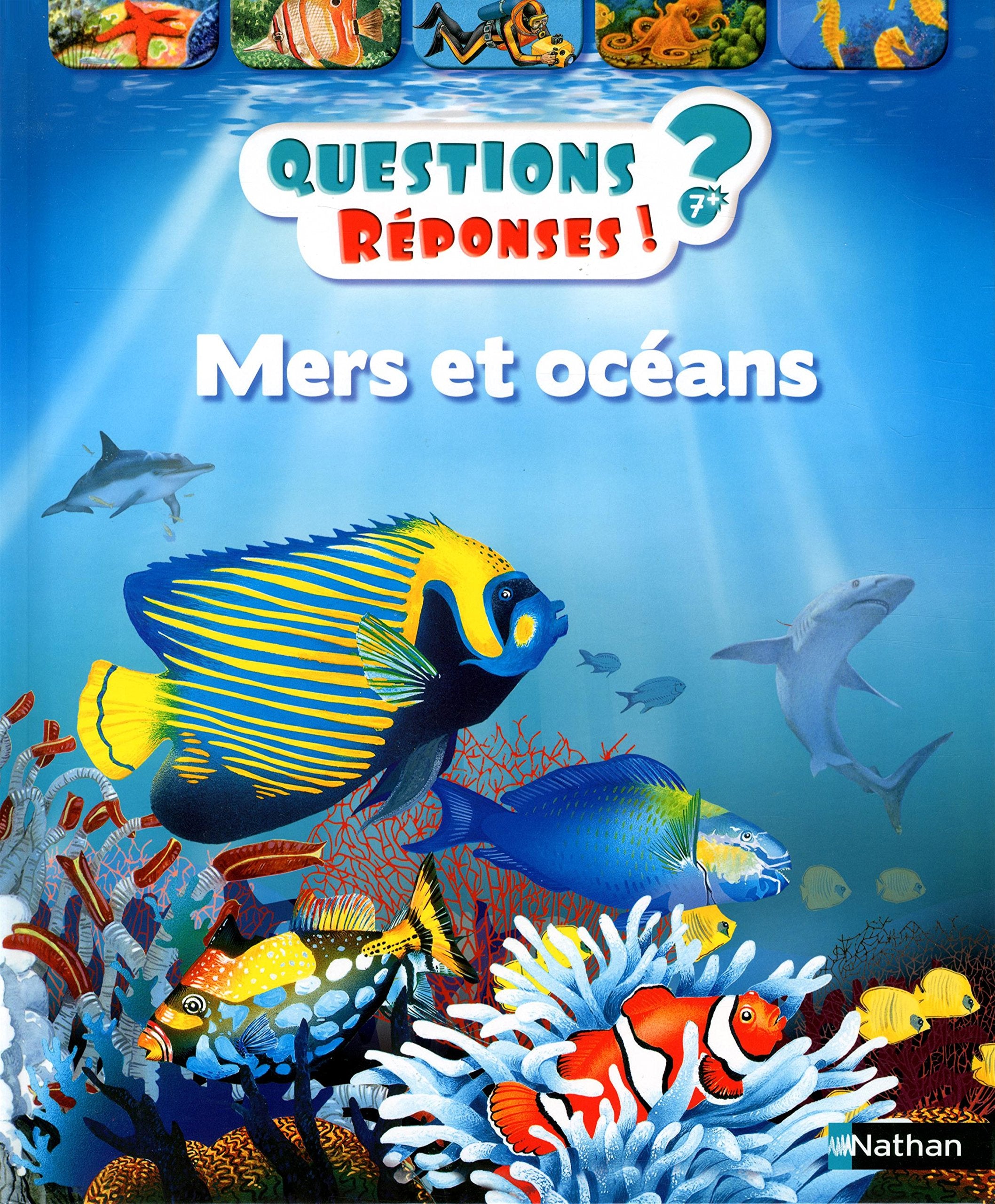 Questions reponses: Mers et oceans Business & Technology