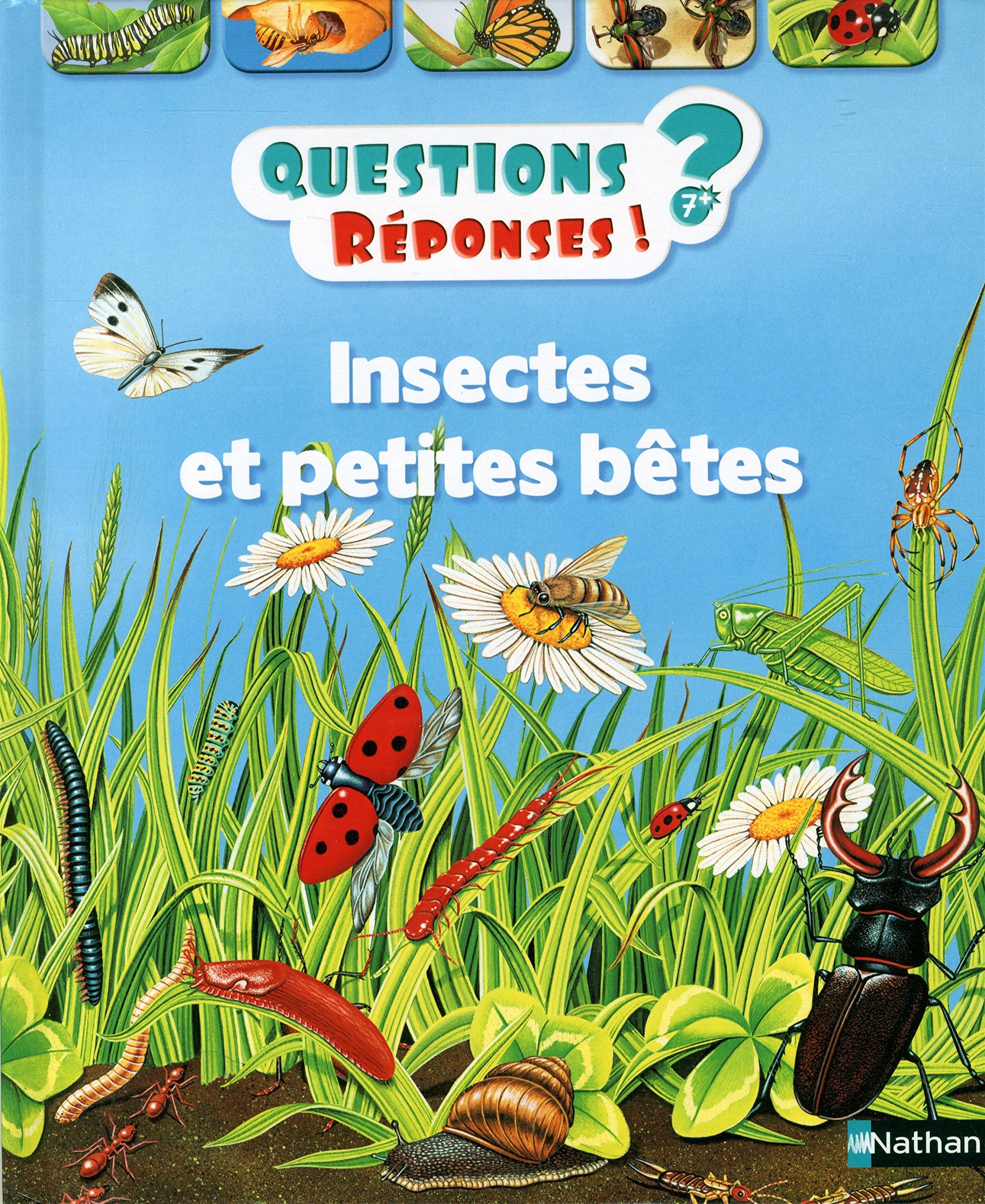 Insectes et petites bêtes - Questions/Réponses - doc dès 7 ans (11) book