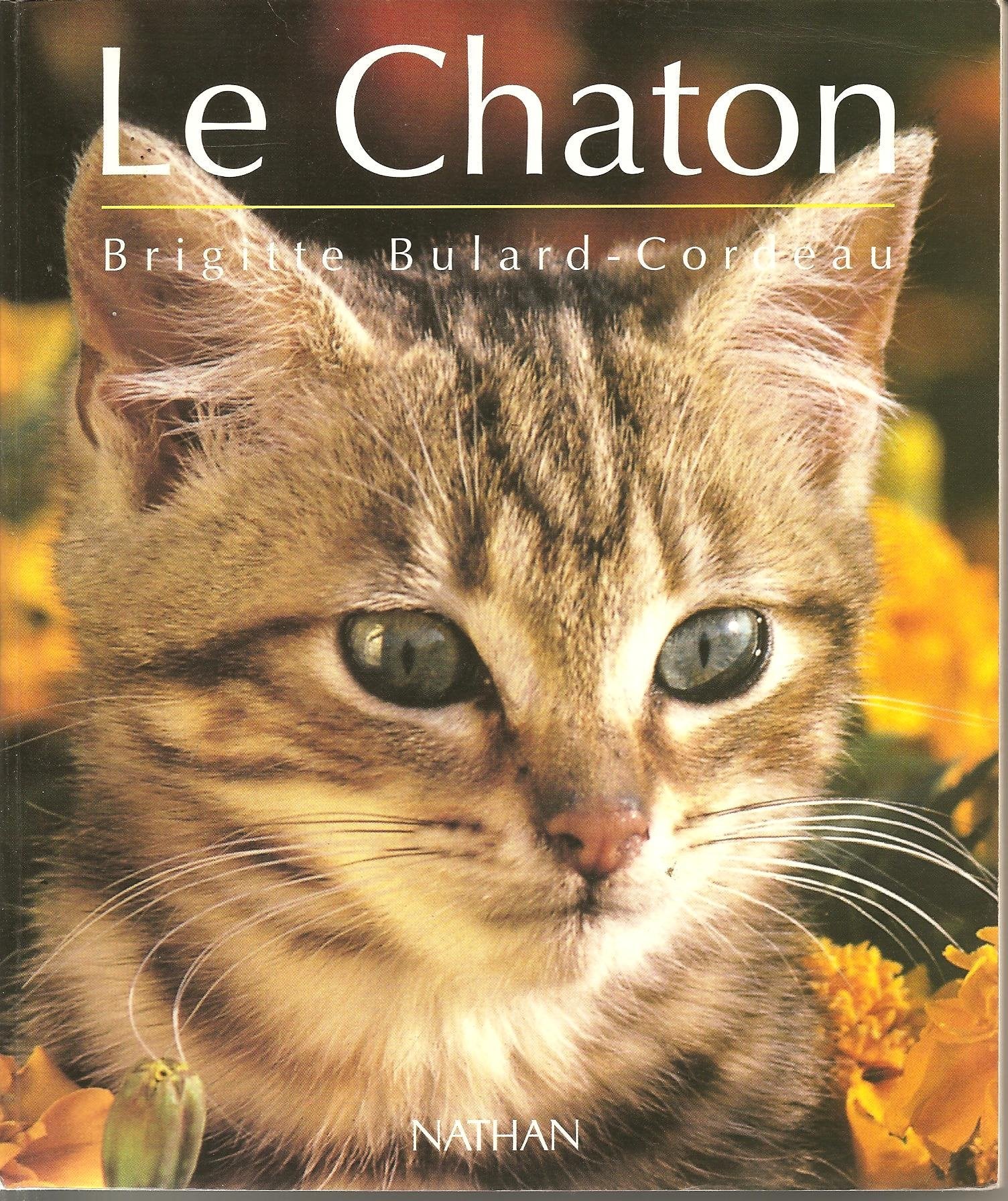 Le chaton : D'avant sa naissance à l'âge adulte book