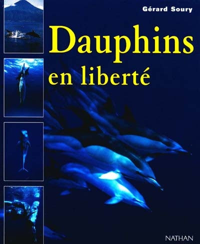 Product Image: Dauphins en liberté