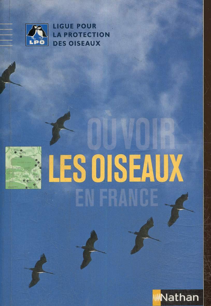 Où voir les oiseaux en France Leisure & Fun