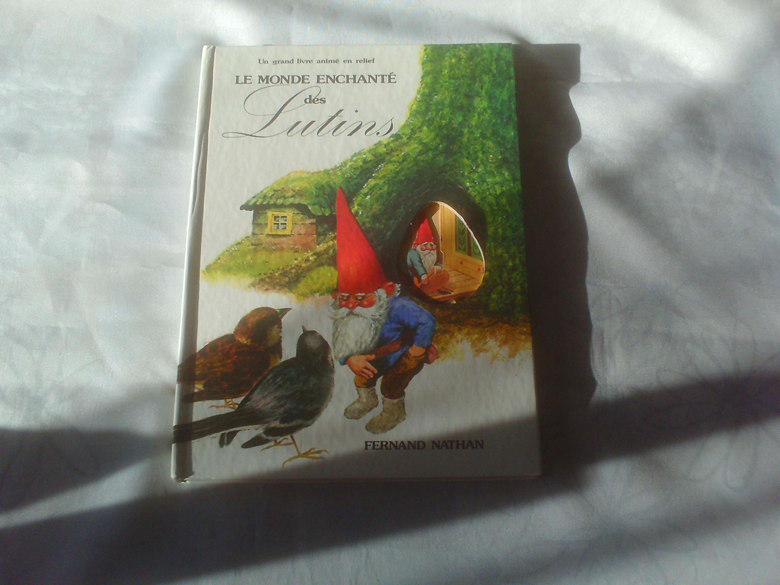 Le Monde enchanté des lutins (Un Livre animé en relief) Books