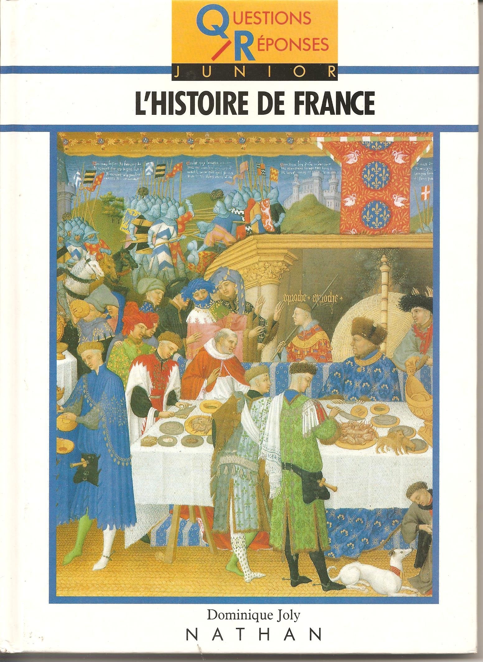 L'histoire de France book