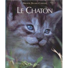 Le chaton: D'avant sa naissance à l'âge adulte book