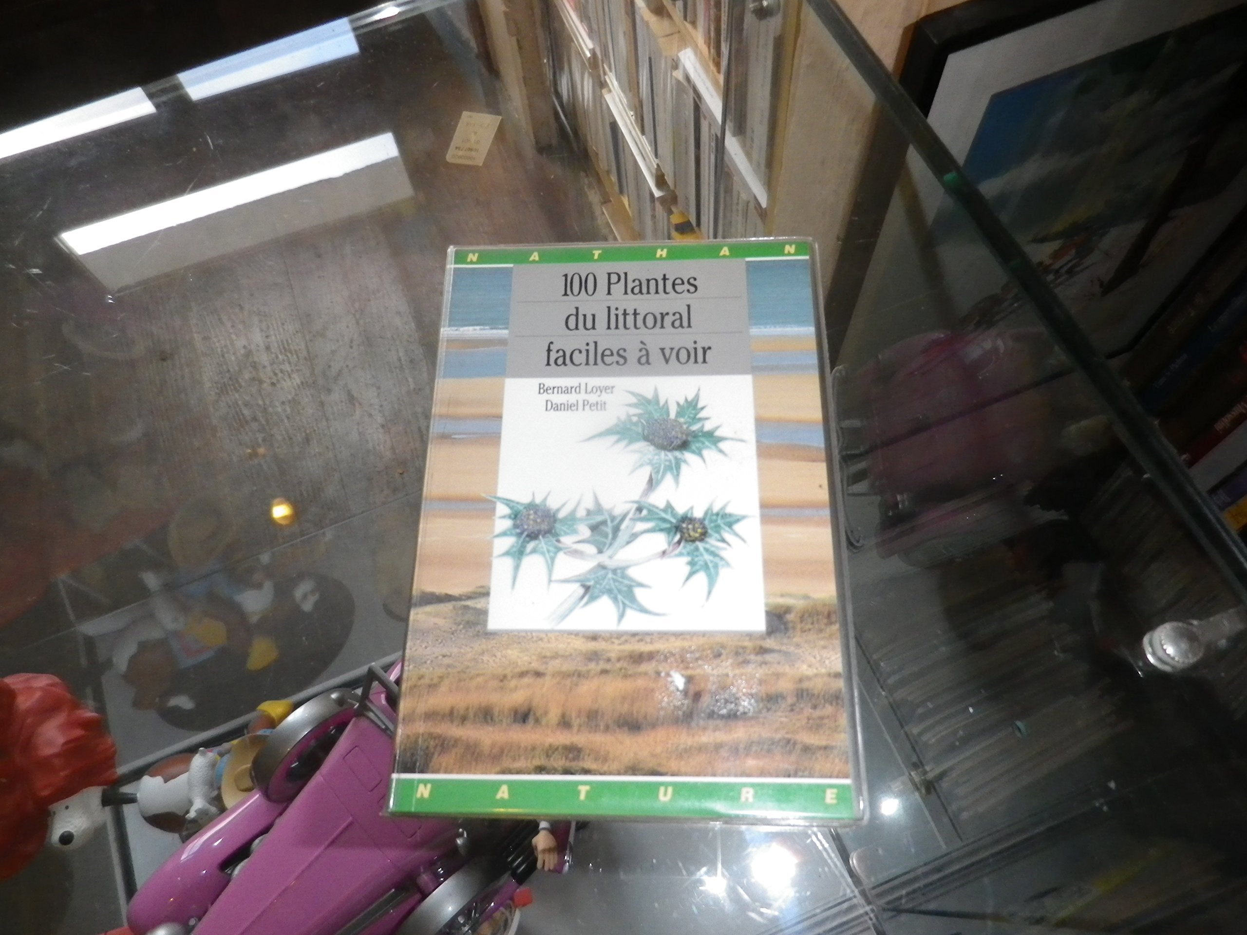 100 plantes du littoral faciles à voir book