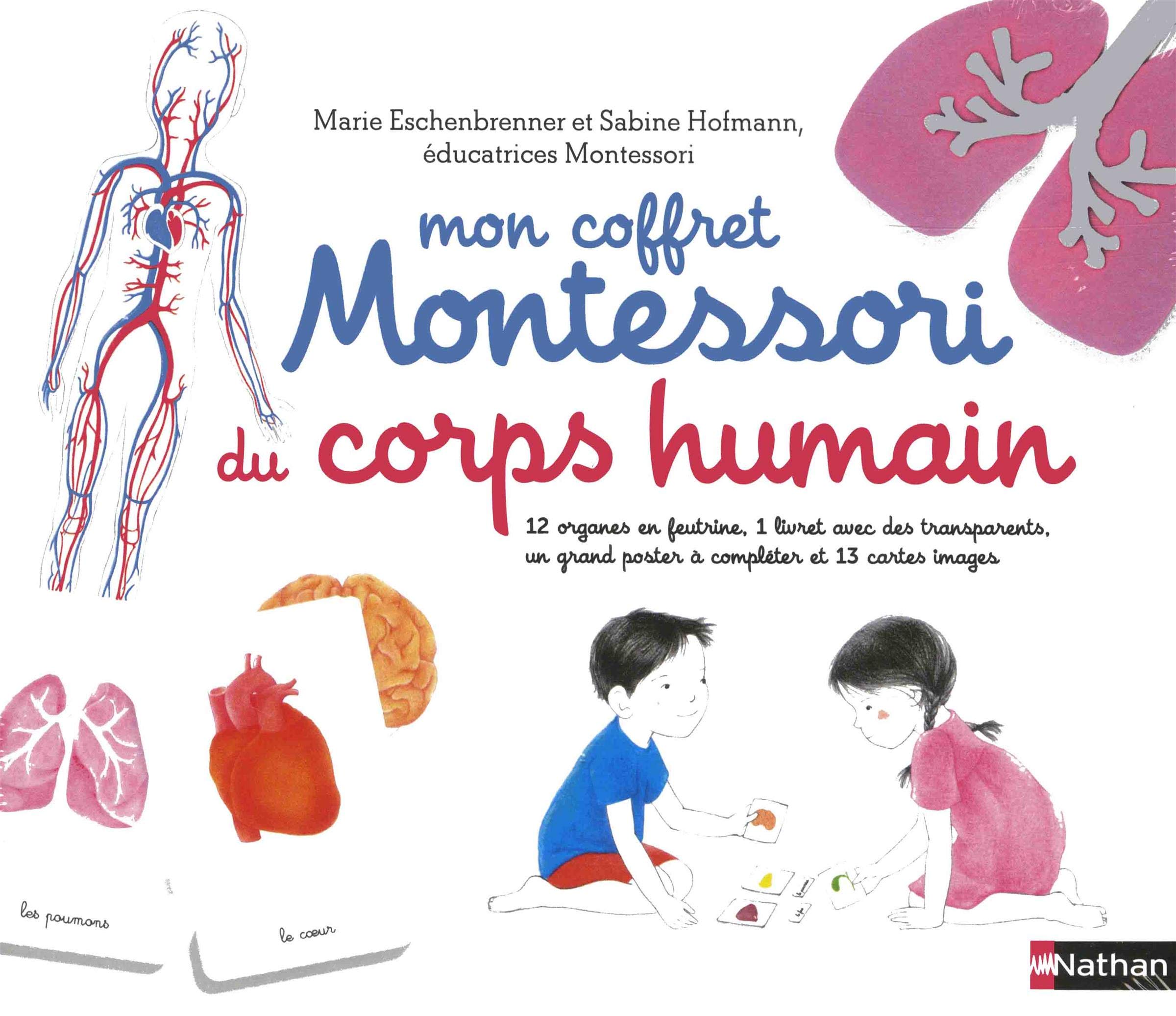 Mon coffret Montessori du corps humain: Avec 12 organes en feutrine, 1 livret avec 4 transparents, 13 cartes et 1 poster à compléter Parents & Children