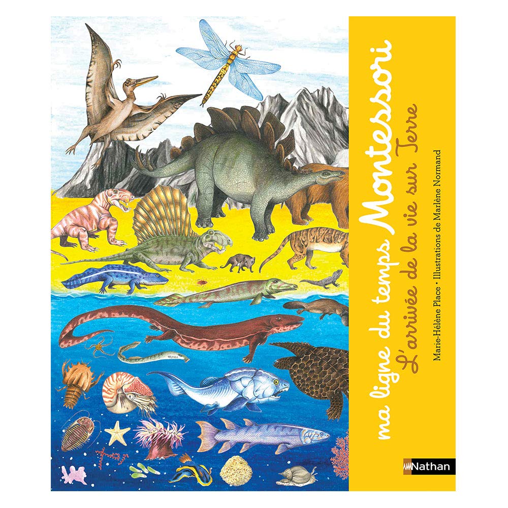 Ma Ligne du temps Montessori de l'arrivée de la vie sur Terre Parents & Children