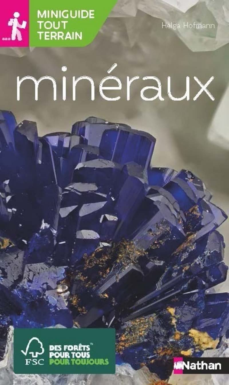 Miniguide tout terrain: Minéraux book