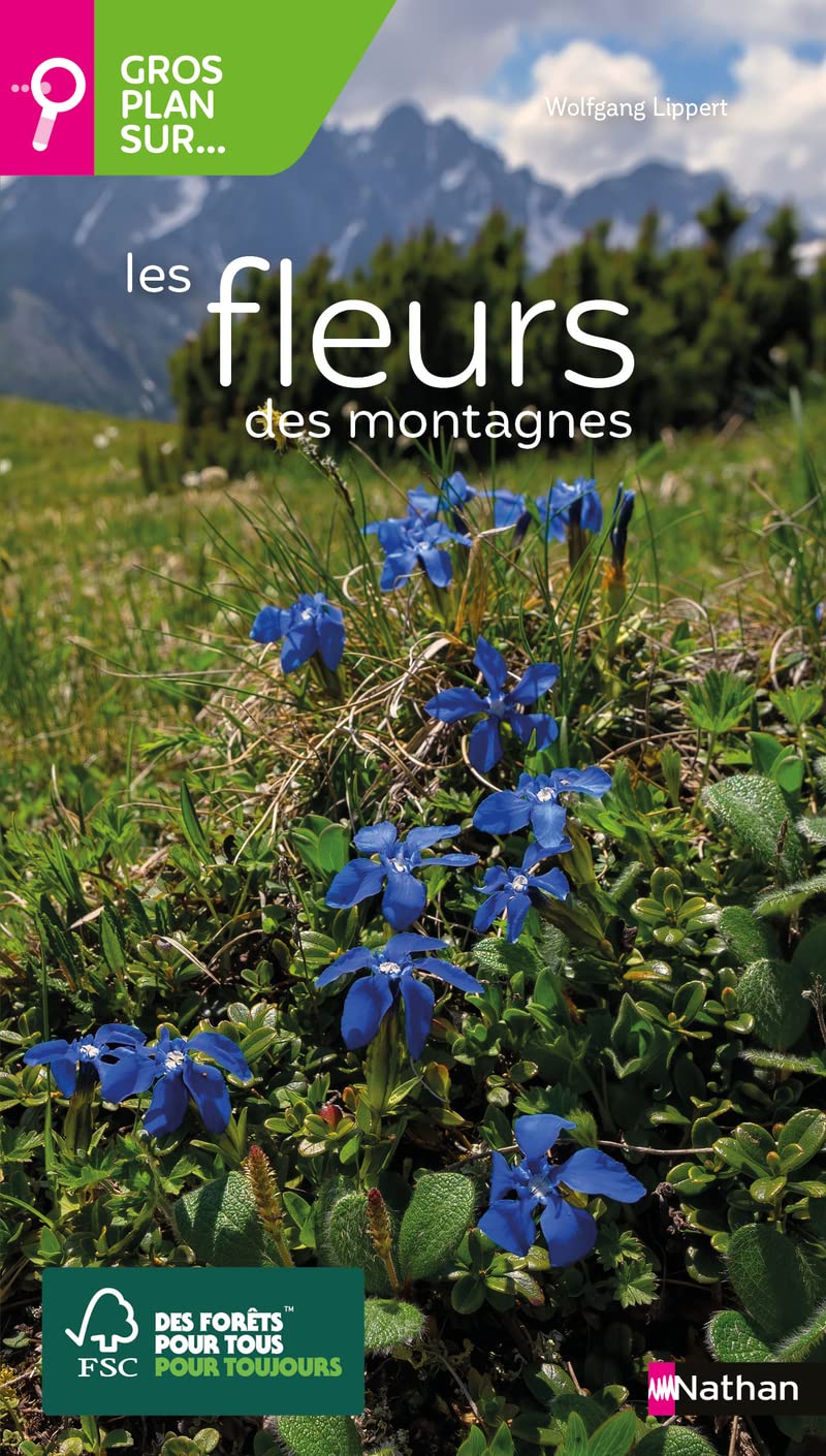 Les fleurs de montagne - Gros plan sur les fleurs de montagne book