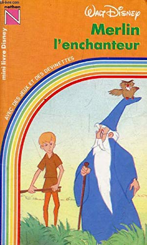 Merlin enchanteur poche book