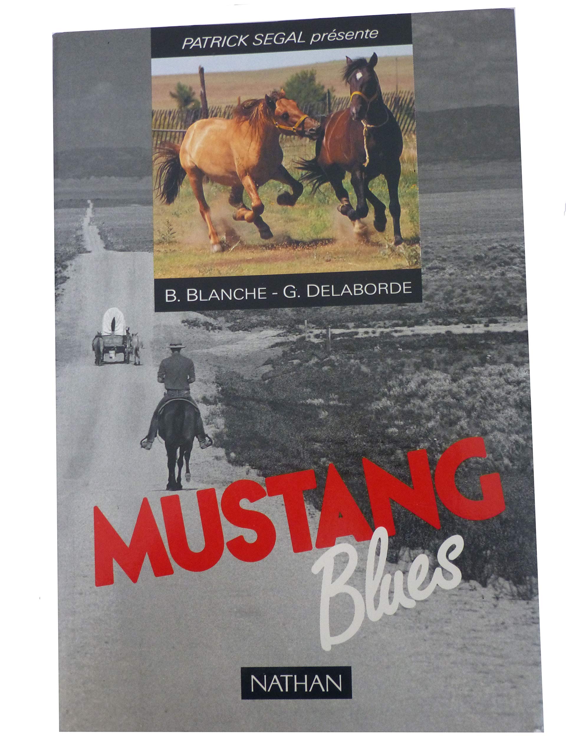 Mustang blues : sur les pistes des poussières de l'Ouest book