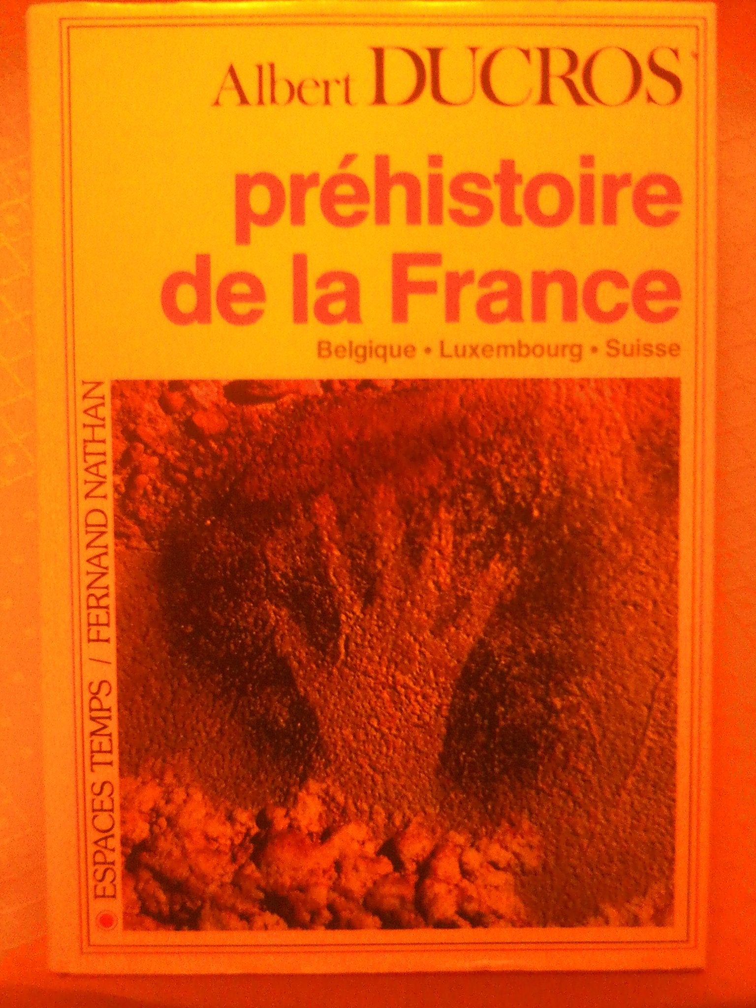 Préhistoire de la France, Belgique, Luxembourg, Suisse book