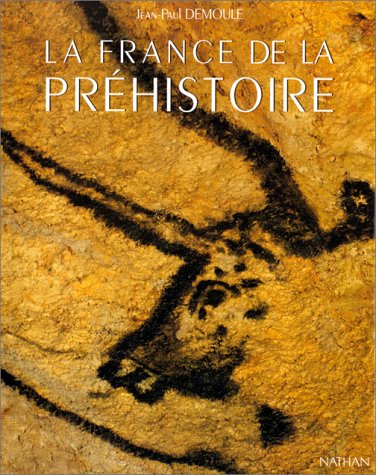 La France de la préhistoire : mille millénaires, des premiers hommes à la conquête romaine Books