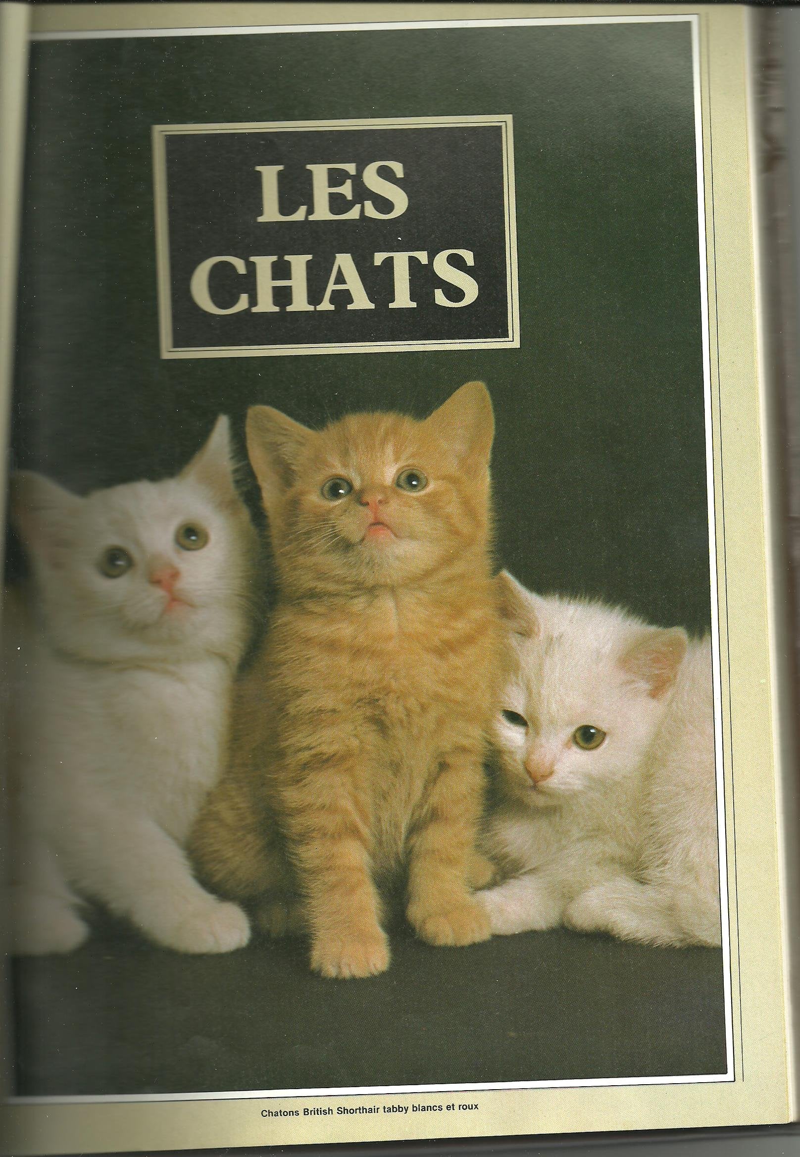 Les Chats book