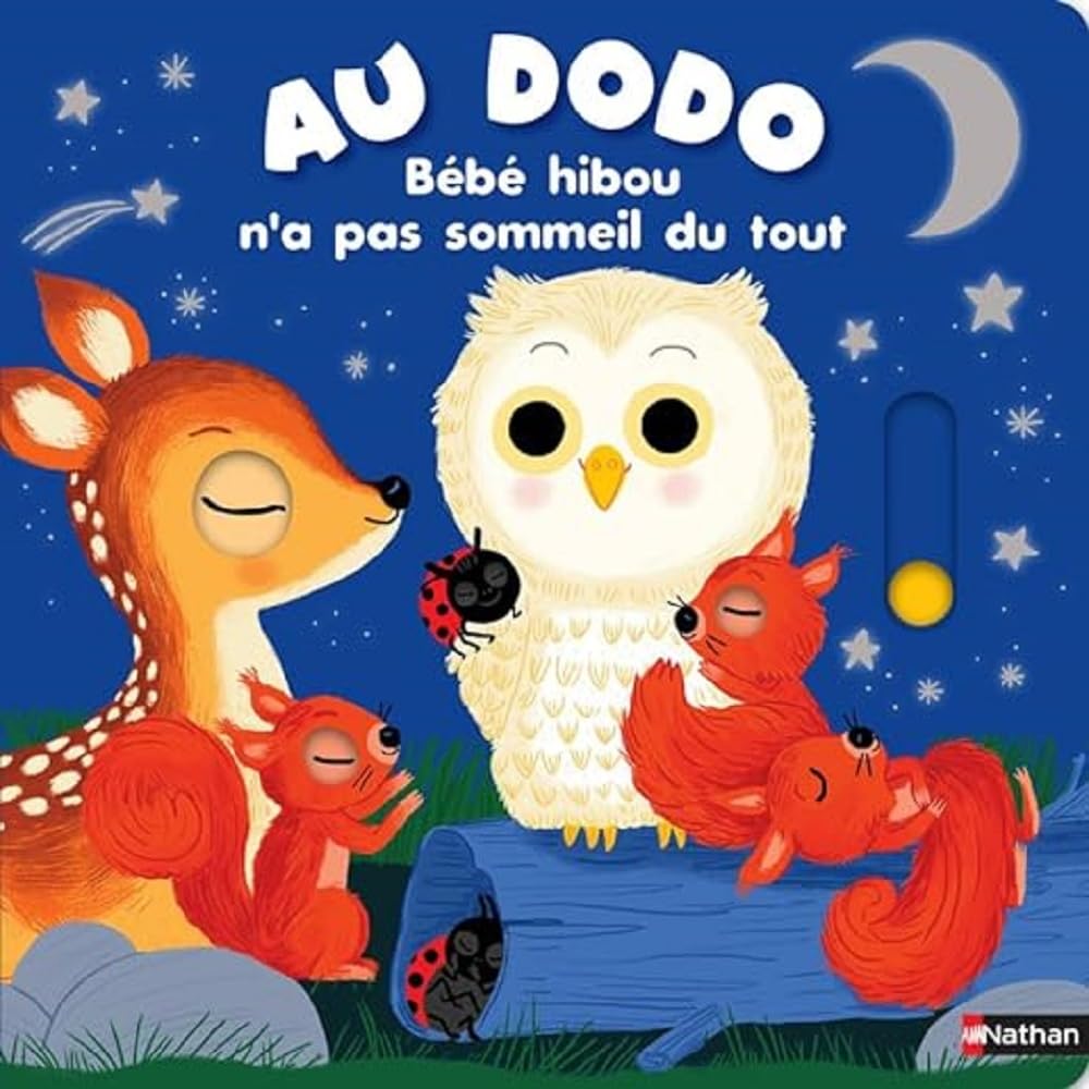 Au dodo - Bébé hibou n'a pas sommeil du tout Non-fiction