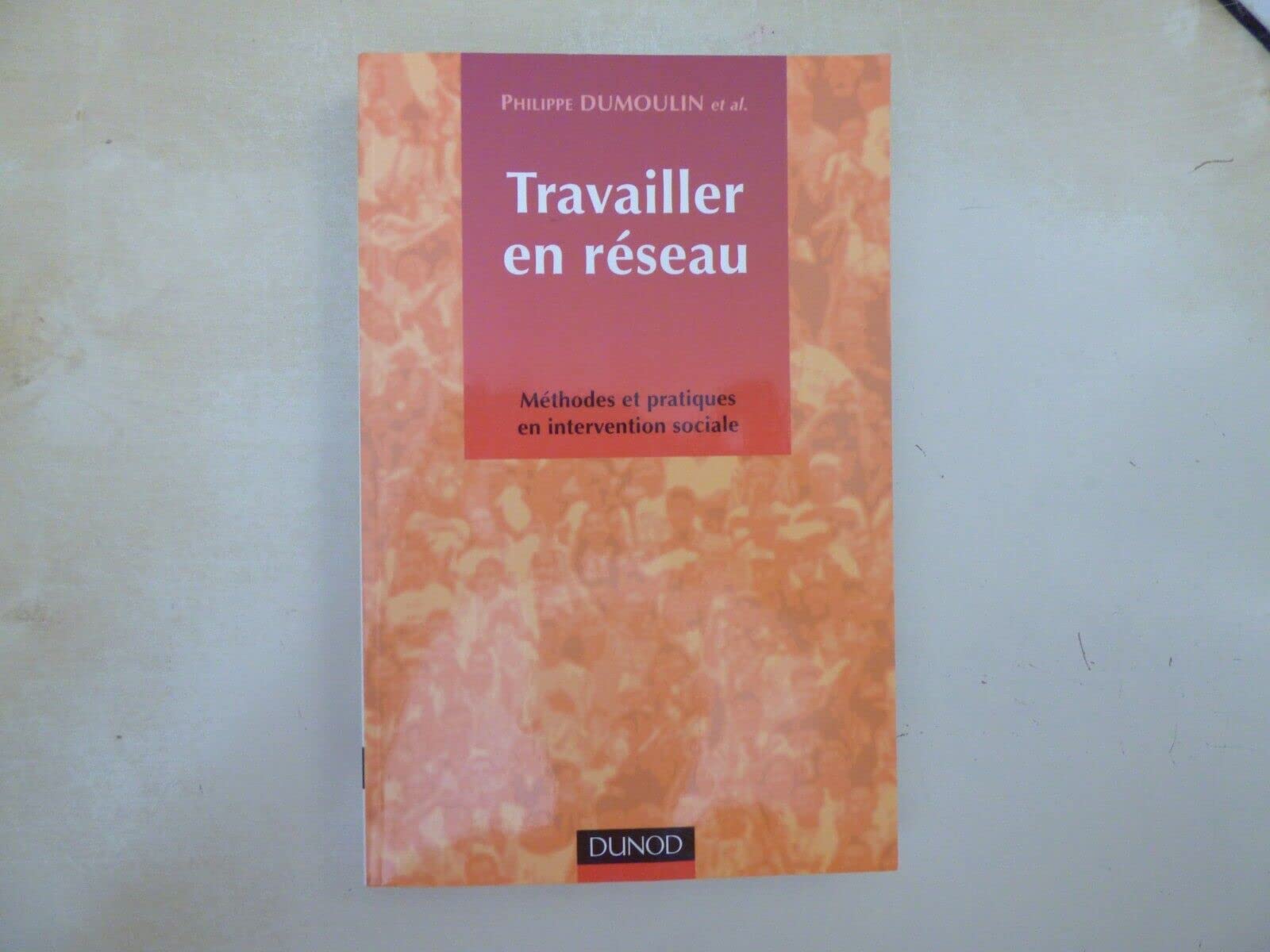 Travailler en réseau: Méthodes et pratiques en intervention sociale Books