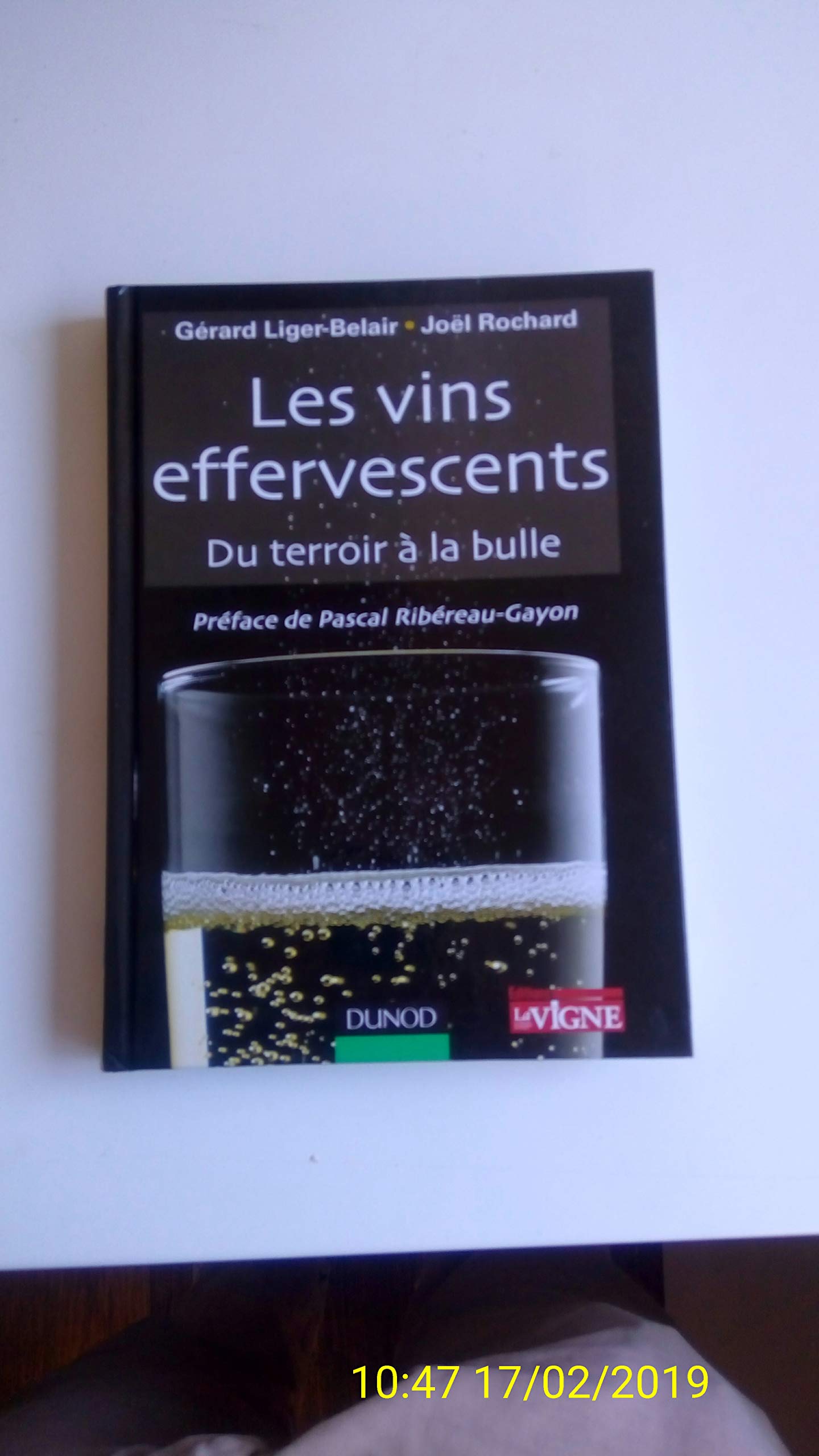 Les vins effervescents - Du terroir à la bulle: Du terroir à la bulle book