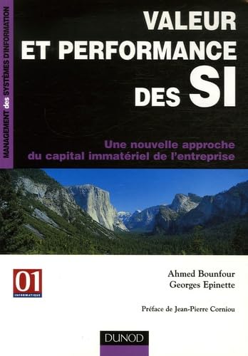 Valeur et performance des SI: Une nouvelle approche du capital immatériel de l'entreprise Books