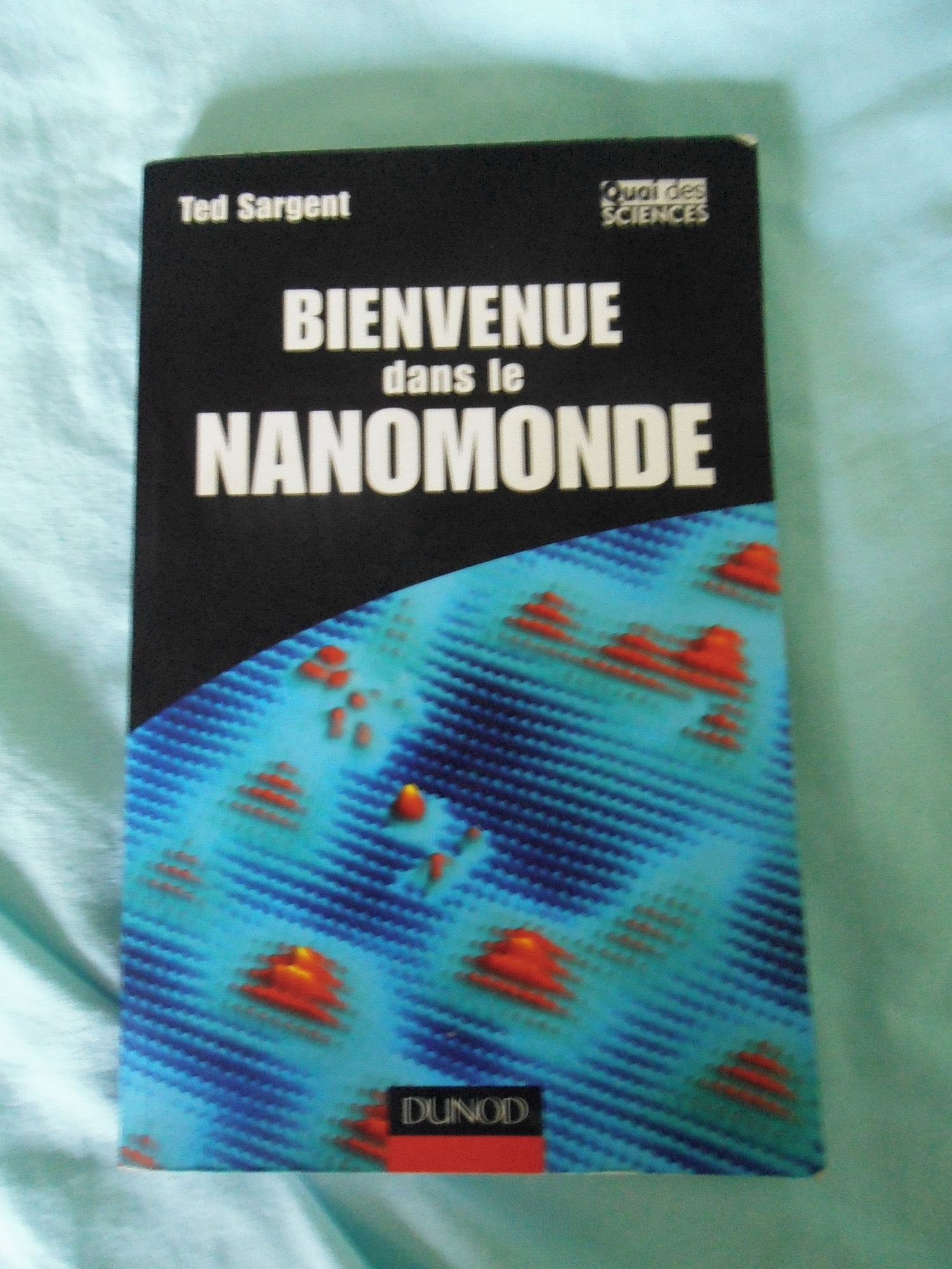Bienvenue dans le nanomonde - Comment les nanotechnologies vont transformer notre vie: Comment les nanotechnologies vont transformer notre vie book