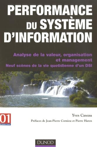 Performance du système d'information: Analyse de la valeur, organisation et management, Neuf scènes de la vie quotidienne d'un DSI book