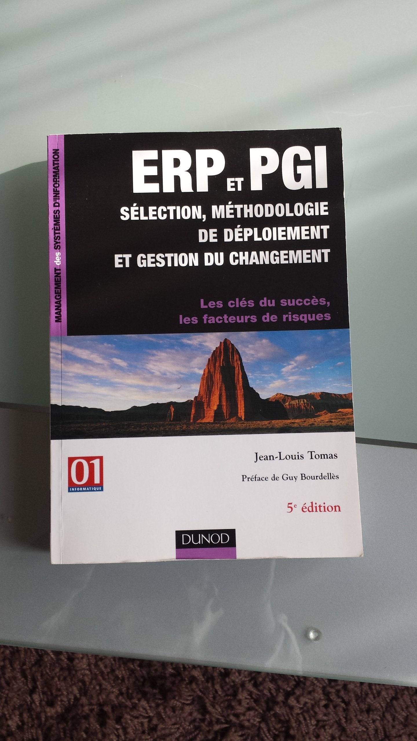 ERP et PGI sélection, méthodologie de déploiement et gestion du changement: Les clés du succès, les facteurs de risques book