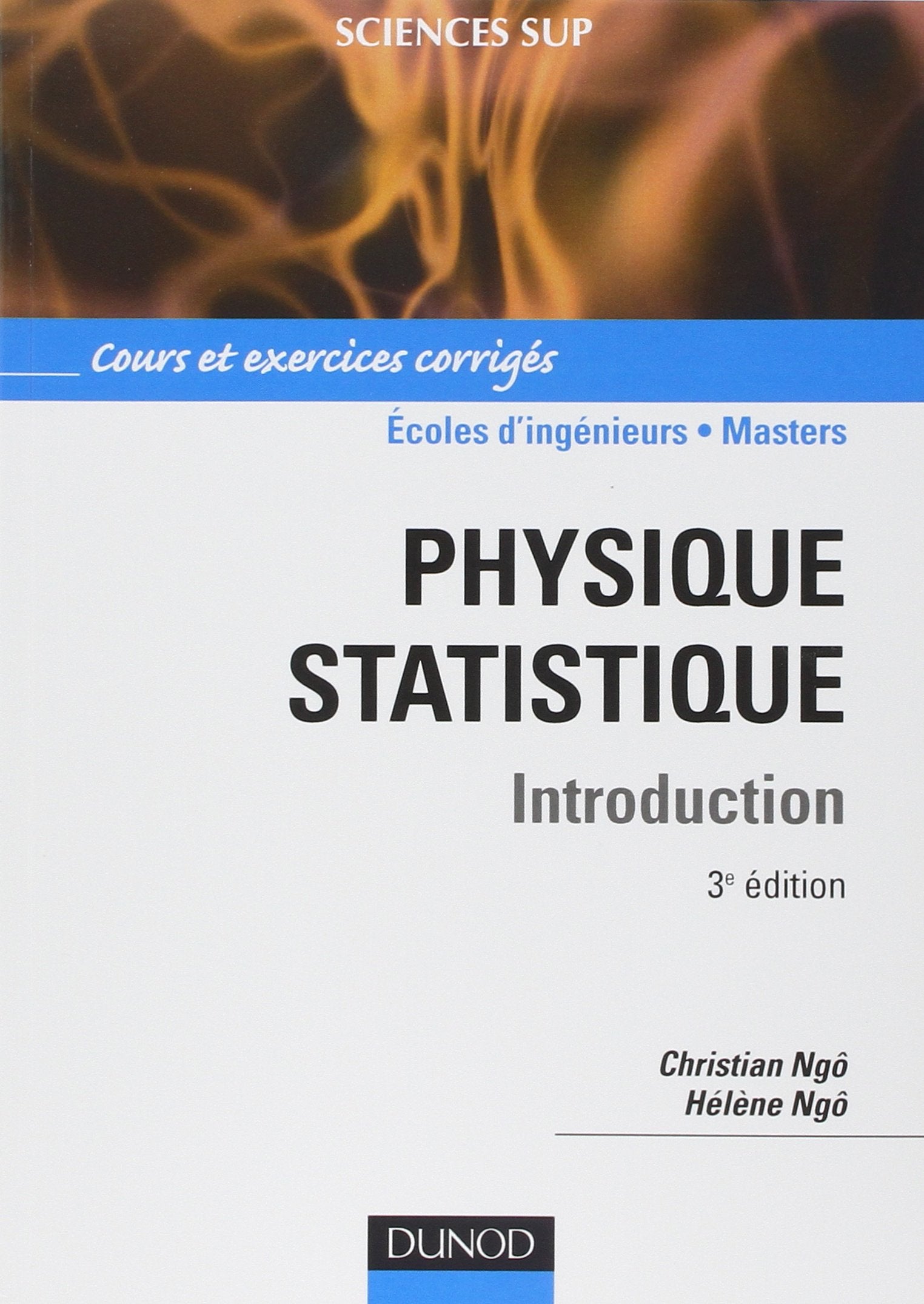 Physique statistique - 3ème édition book