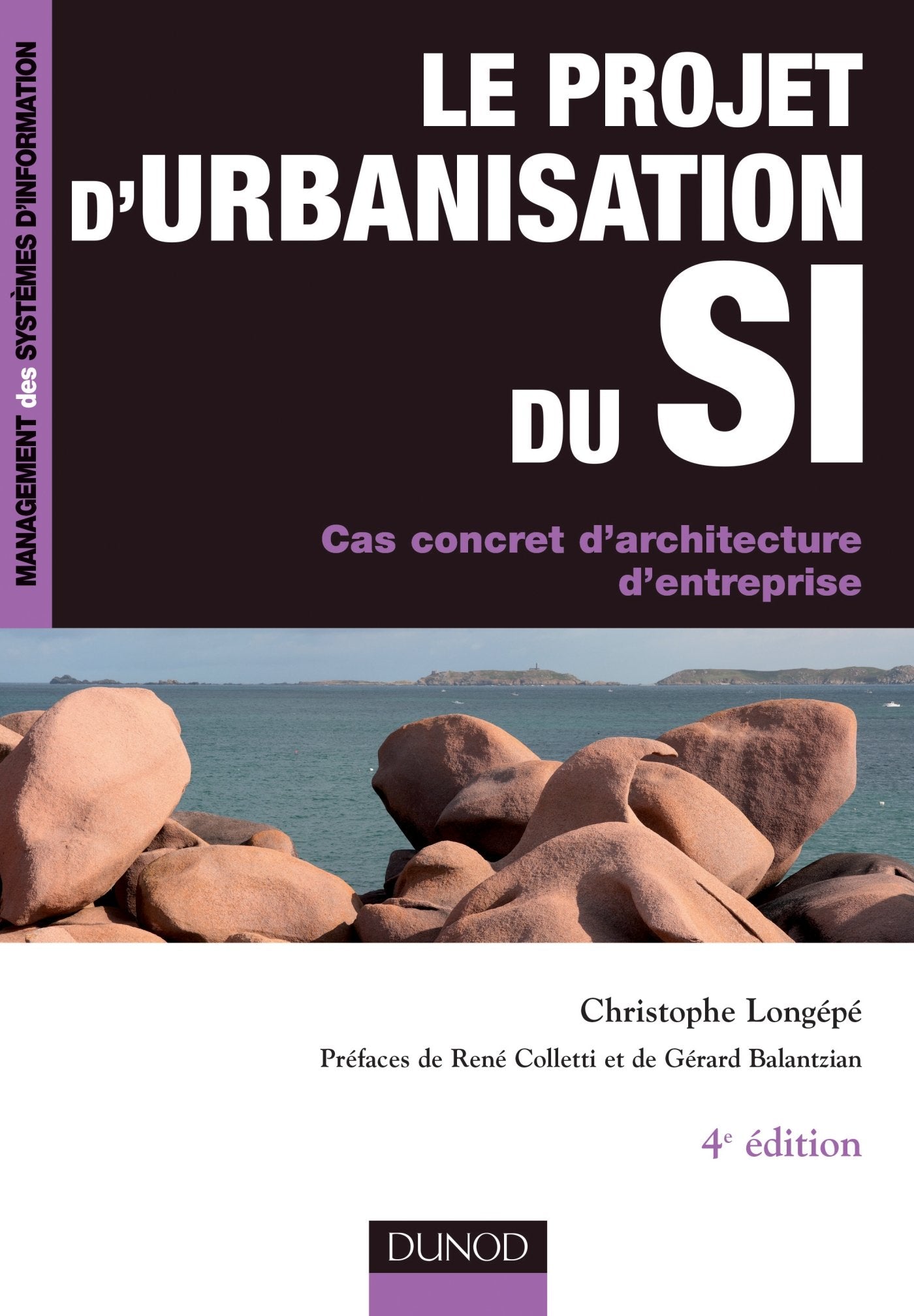 Le projet d'urbanisation du S.I. - 4e éd. - Cas concret d'architecture d'entreprise: Cas concret d'architecture d'entreprise book