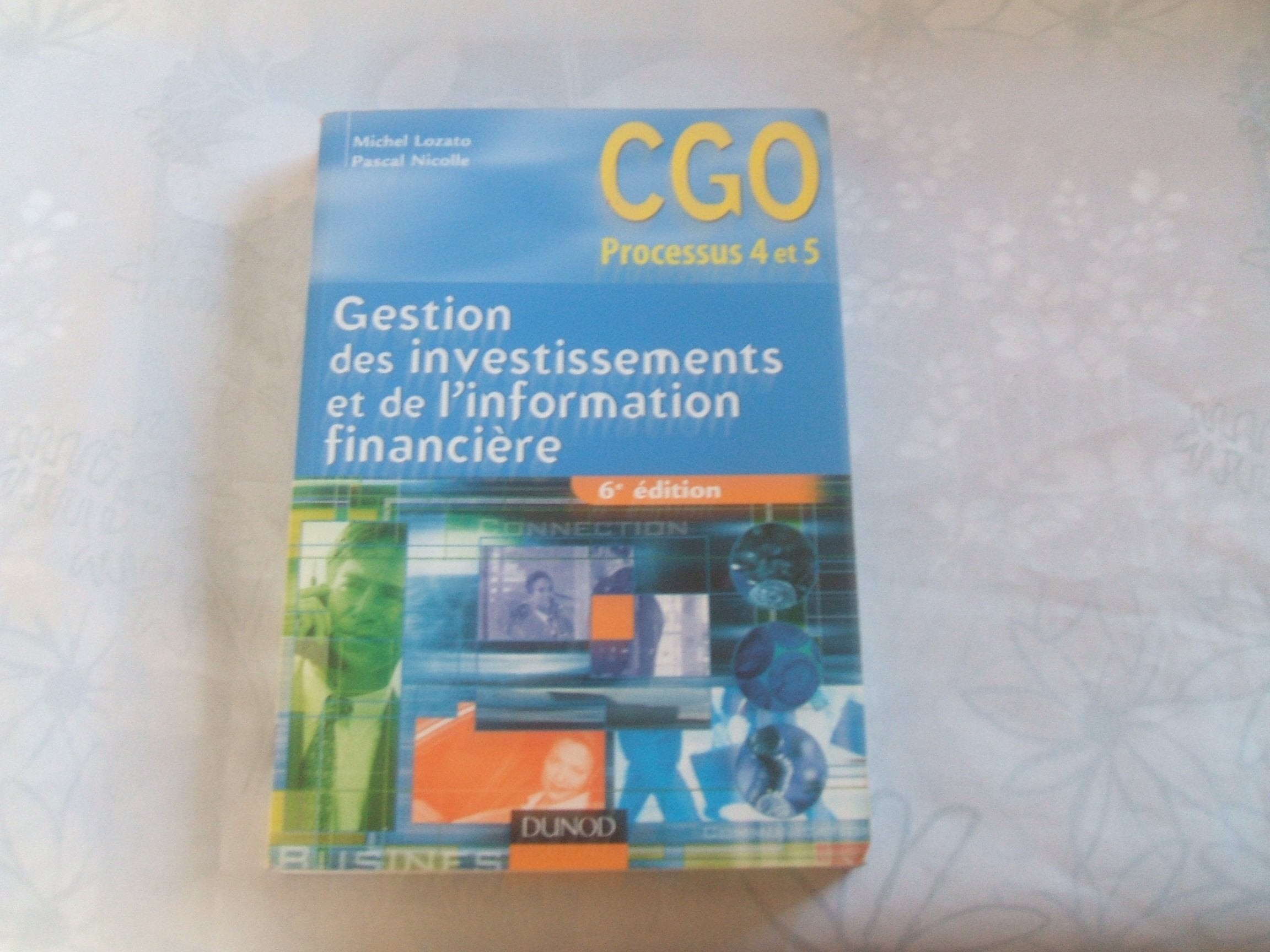 Gestion des investissements et de l'information financière: Processus 4 et 5 Books