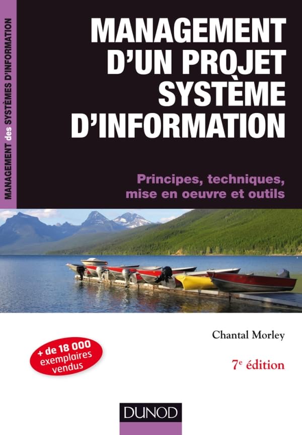 Management d'un projet système d'information: Principes, techniques, mise en oeuvre et outils Books