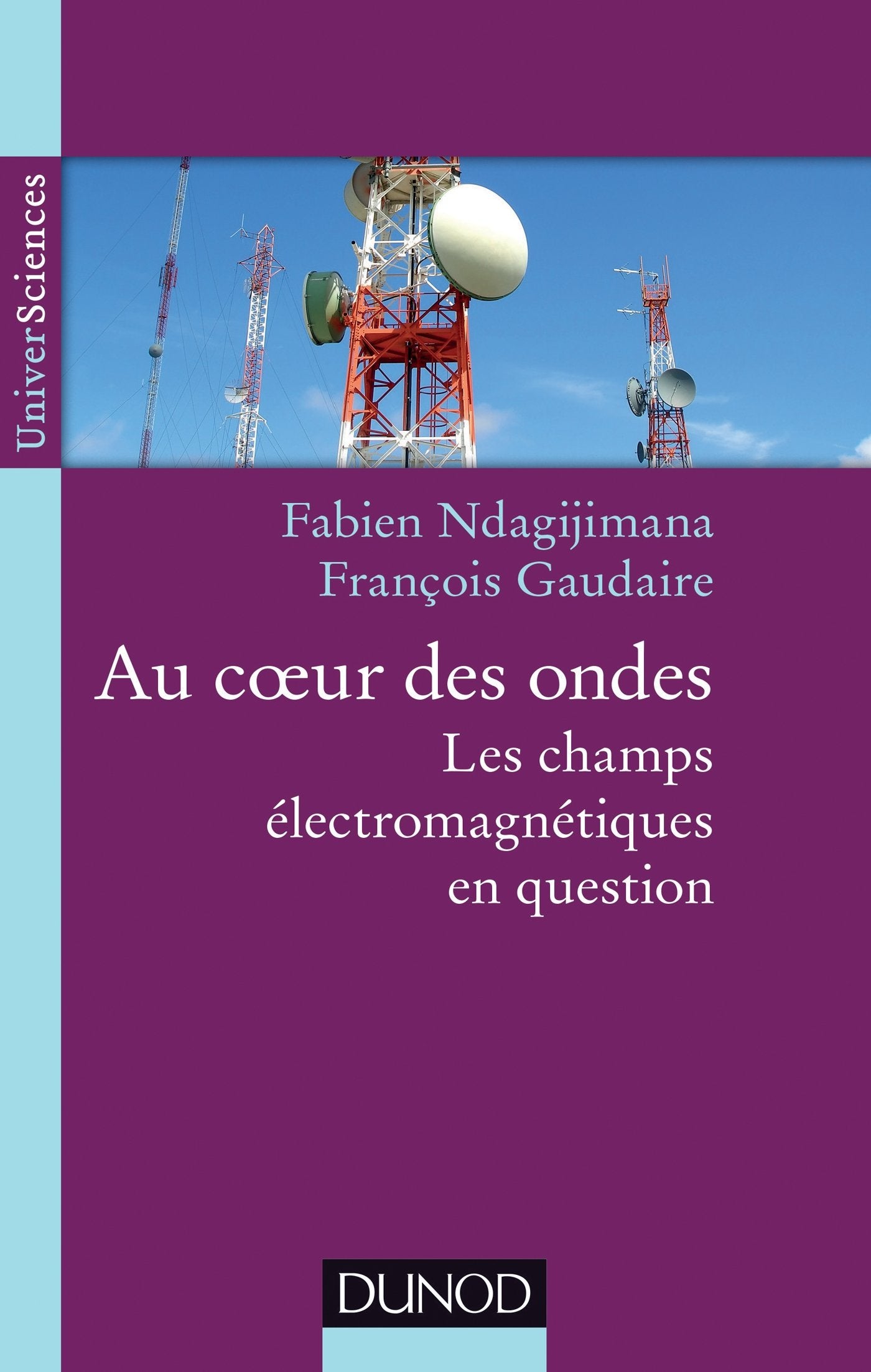 Au coeur des ondes - Les champs électromagnétiques en question: Les champs électromagnétiques en question book
