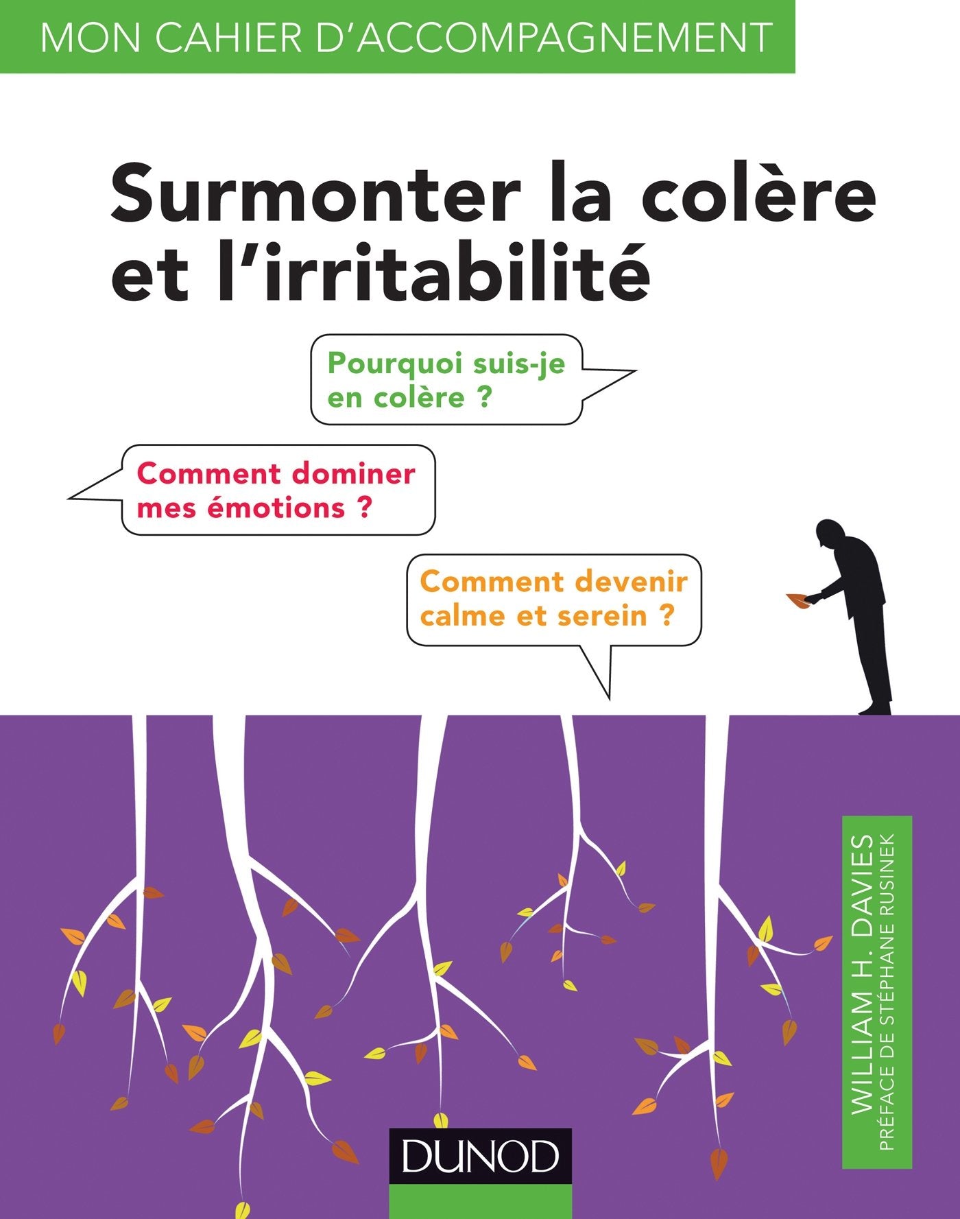Surmonter la colère et l'irritabilité Books
