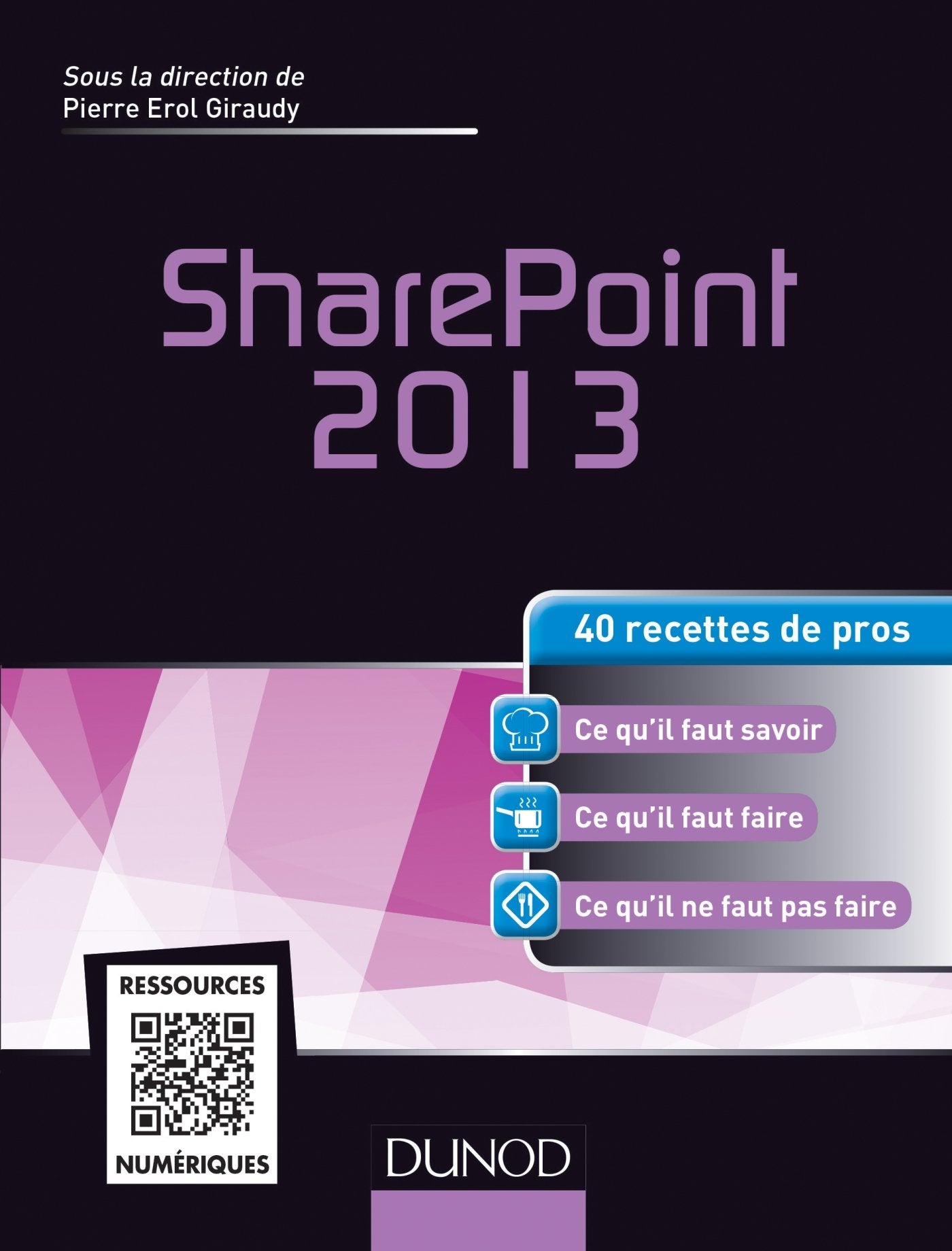 SharePoint 2013 - 40 recettes de pros: 40 recettes de pros Computer Science
