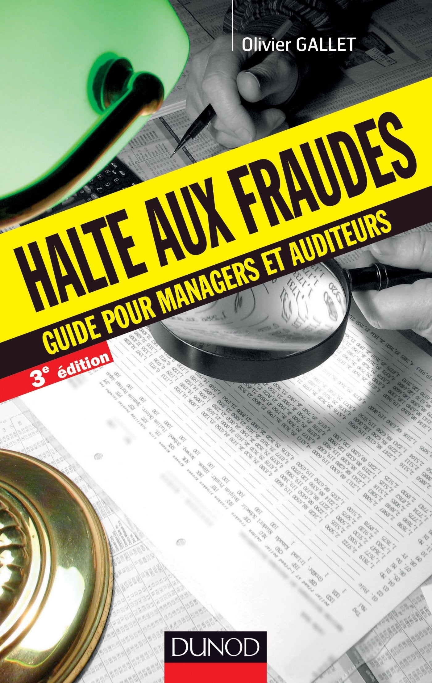 Halte aux fraudes - 3e éd. - Guide pour managers et auditeurs: Guide pour managers et auditeurs Business, Finance & Career