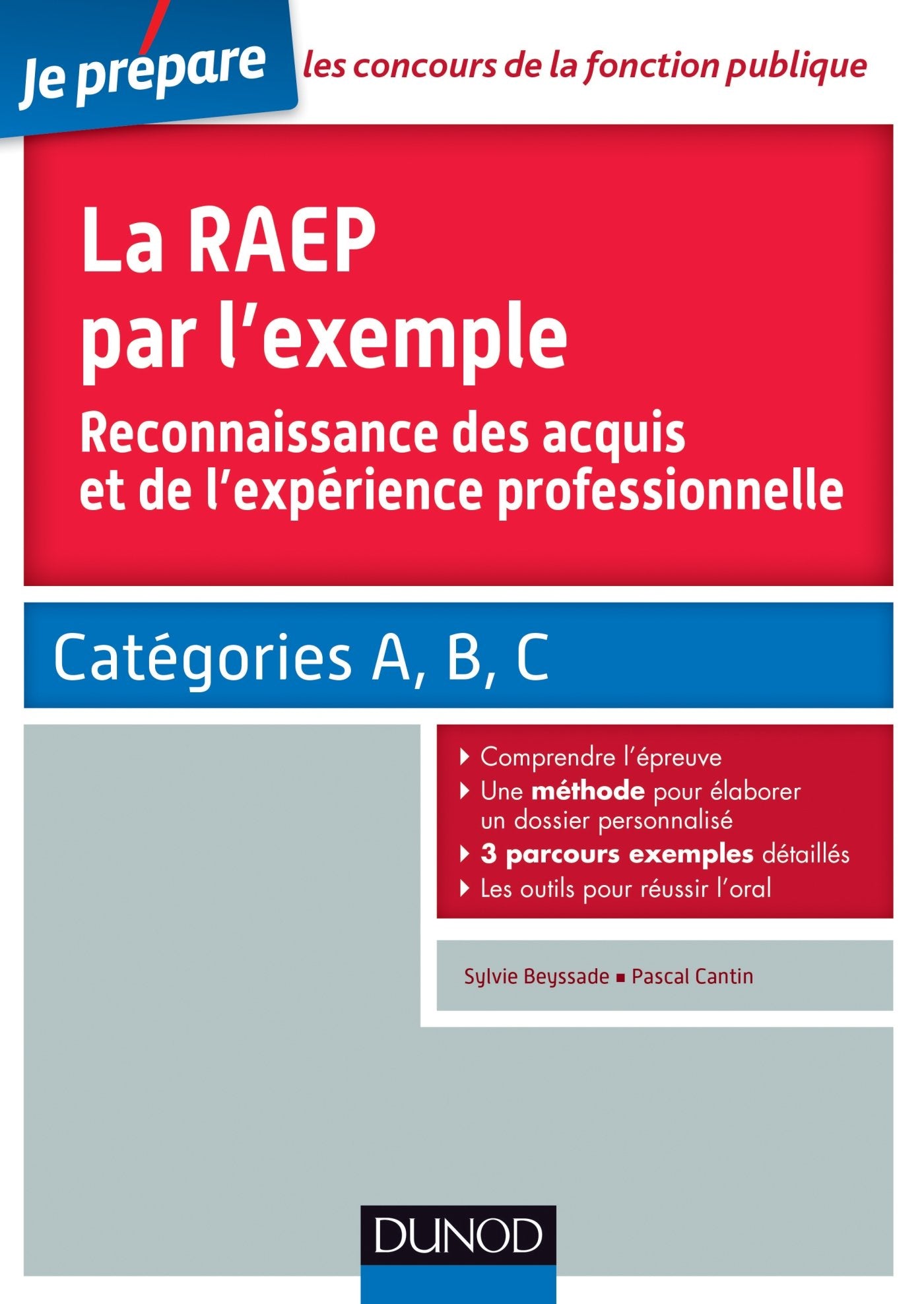 La RAEP par l'exemple: Reconnaissance des acquis par l'expérience professionnelle, Catégories A, B, C book