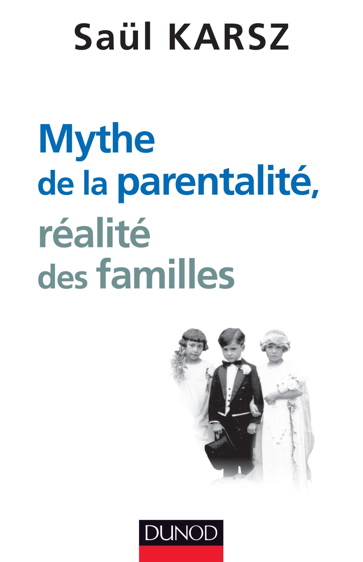 Mythe de la parentalité, réalité des familles book
