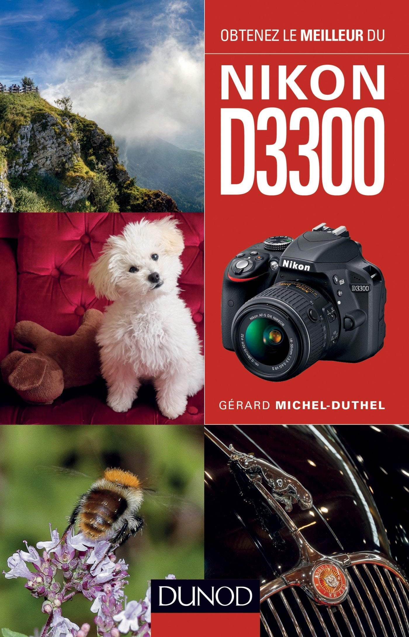Obtenez le meilleur du Nikon D3300 Film, Art & Culture