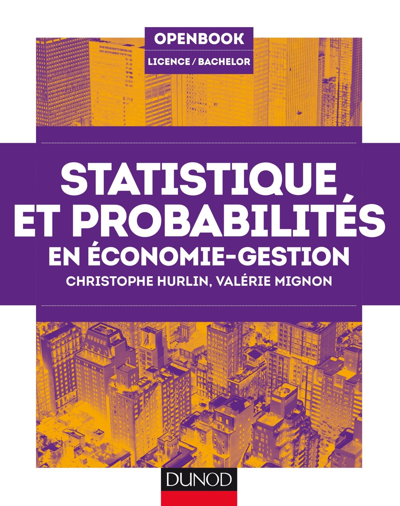 Statistique et probabilités en économie-gestion Books