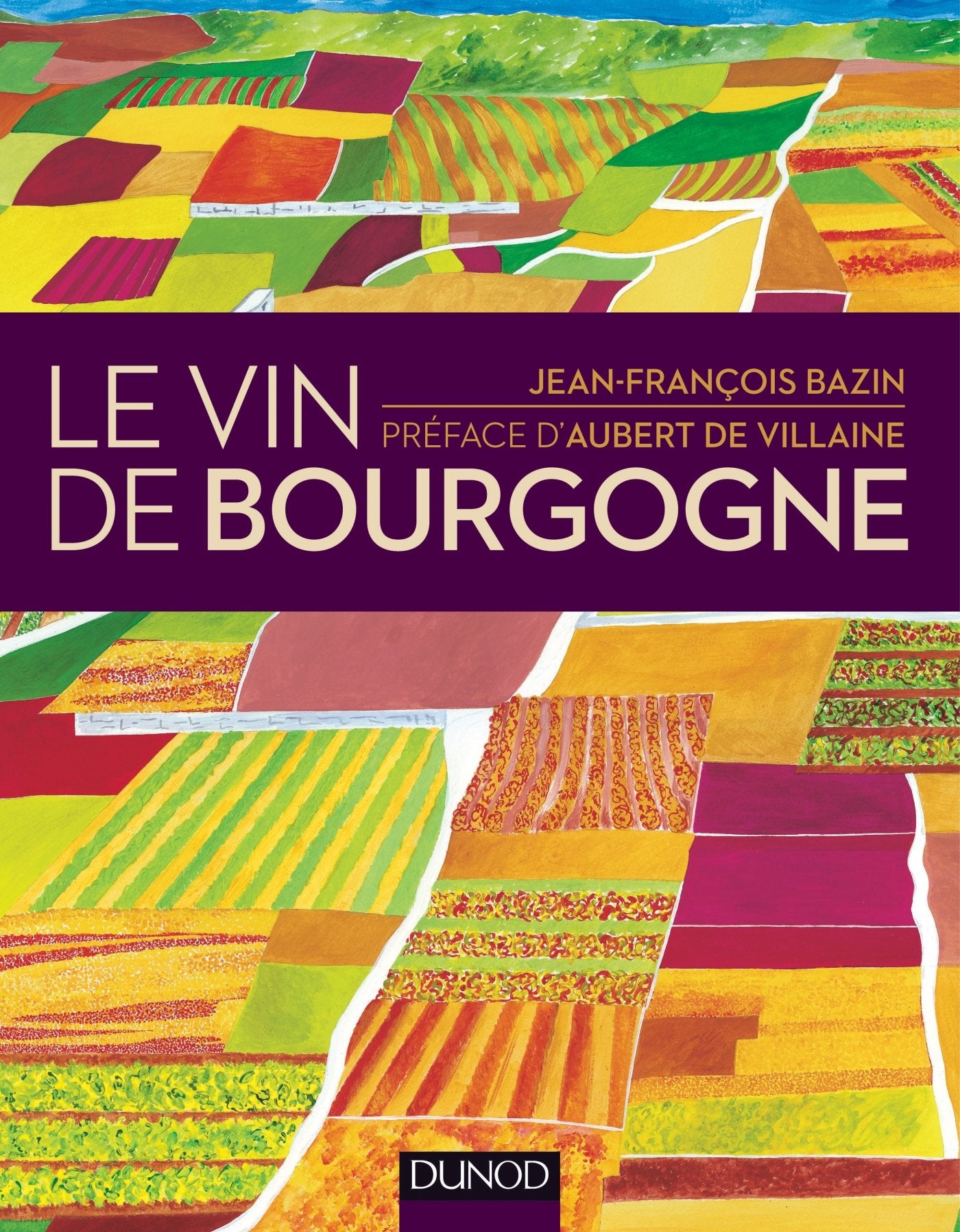Le vin de Bourgogne - nouvelle edition book